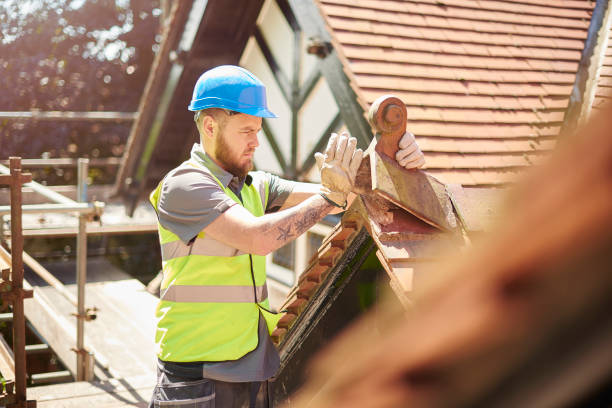 Best Commercial Roof Installation  in Geneva, AL