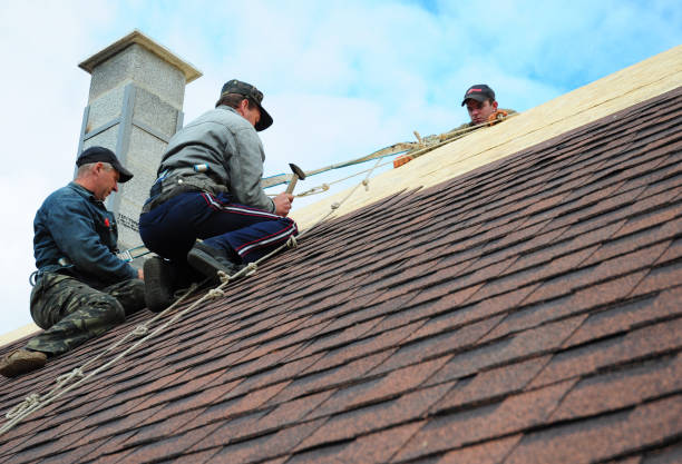 Quick and Trustworthy Emergency Roof Repair Services in Geneva, AL
